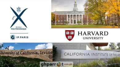 Top Universities Offering Free Online Courses