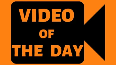 VIDEO OF THE DAY