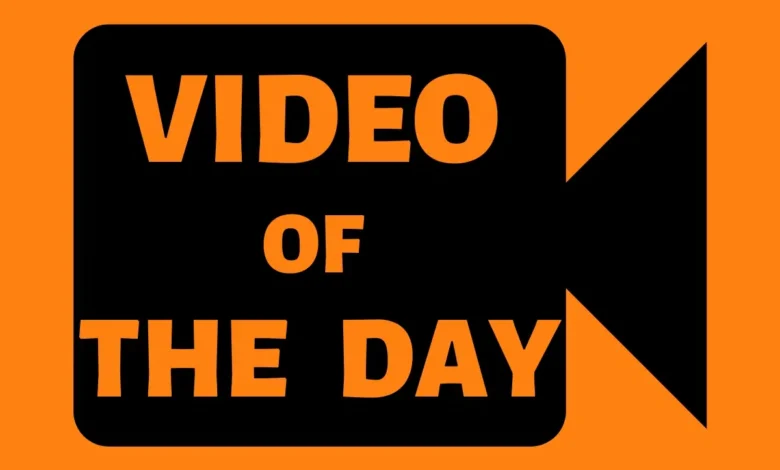 VIDEO OF THE DAY