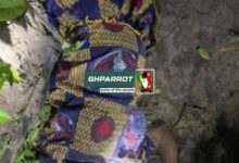 pregnant woman, dorma