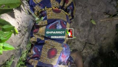 pregnant woman, dorma