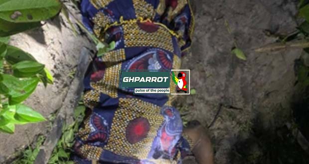 pregnant woman, dorma